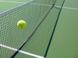 tennis-ball-net